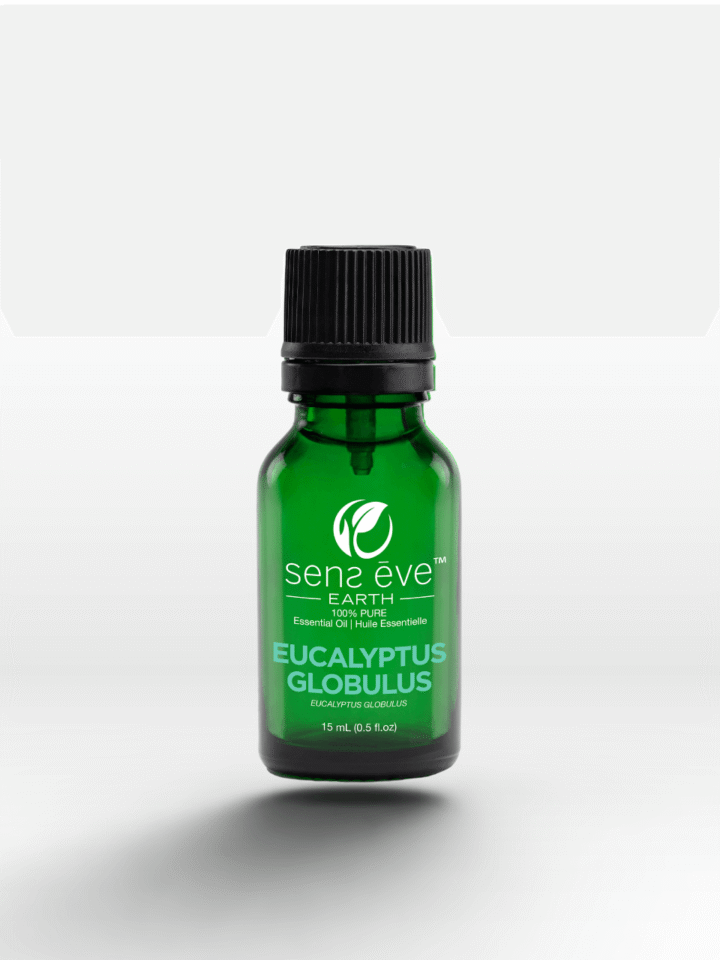 Eucalyptus Globulus Essential Oil